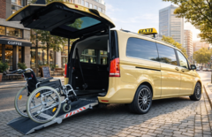 Categoria di prodotto: Taxi